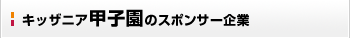 �L�b�U�j�A�b�q���̃X�|���T�[���