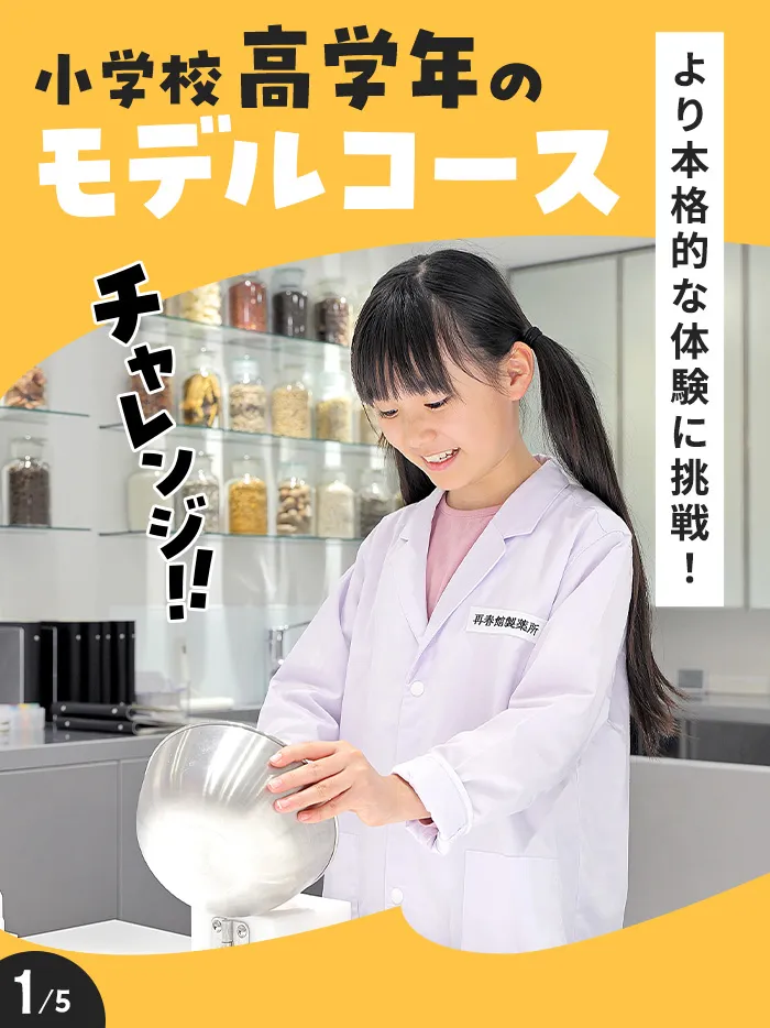 小学校高学年のモデルコース