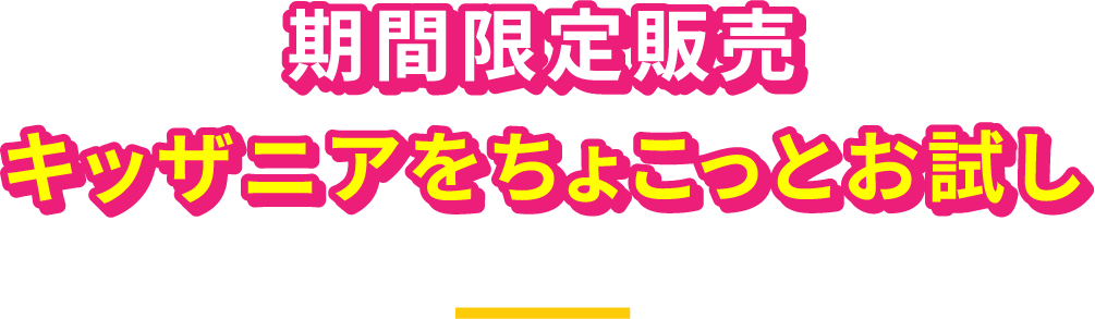 2時間パス