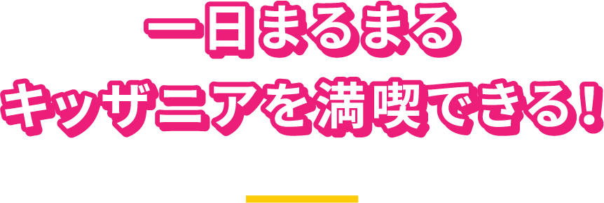 一日まるまるキッザニアを満喫できる