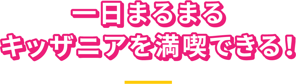一日まるまるキッザニアを満喫できる