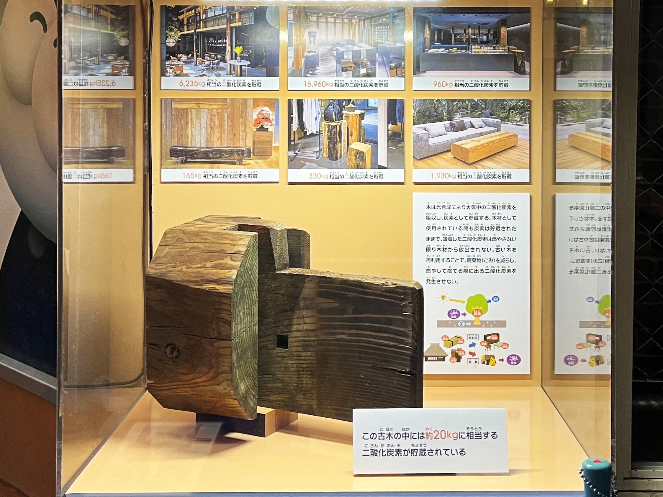 古い木の利用促進