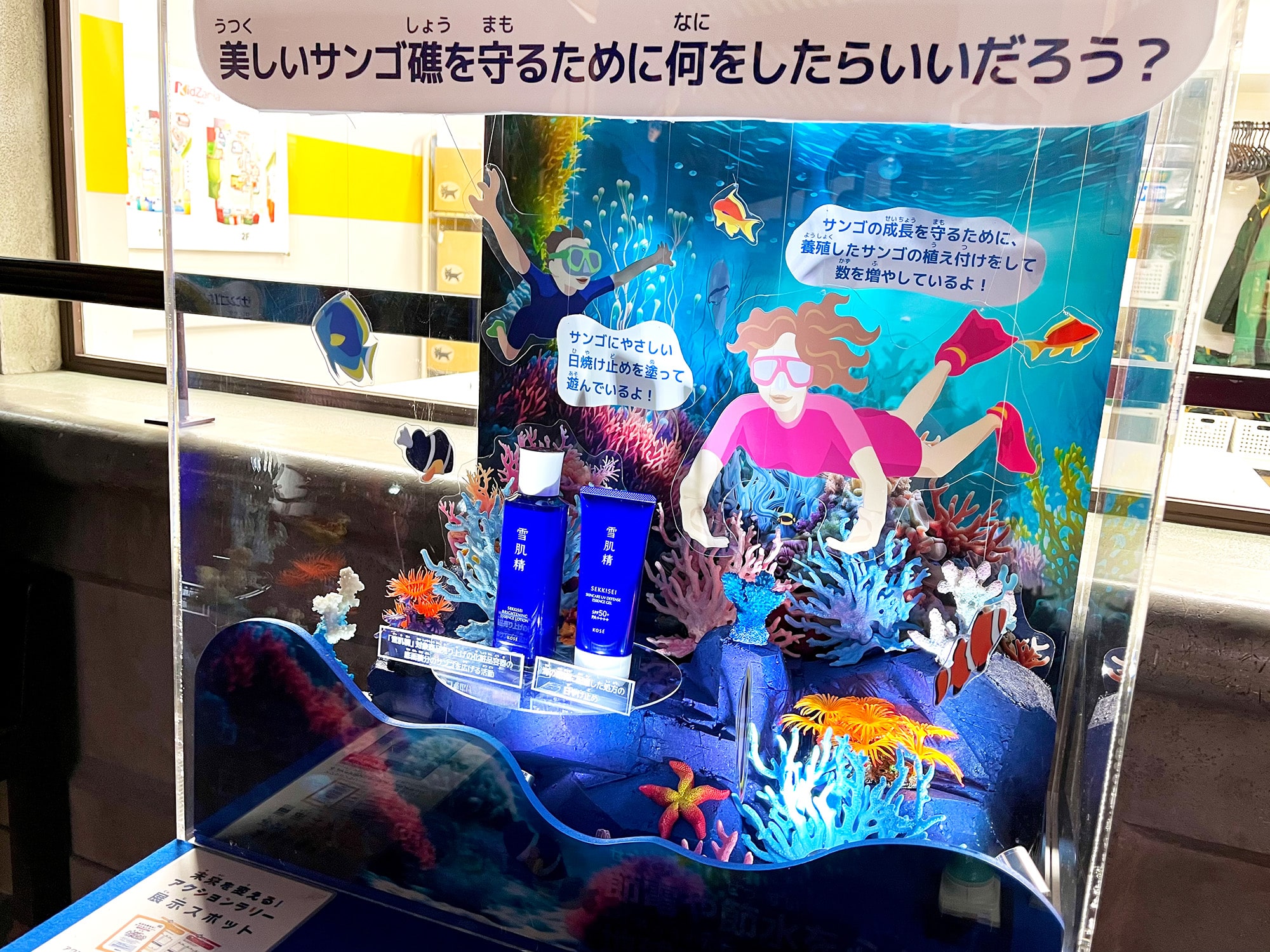 サンゴの減少と保護