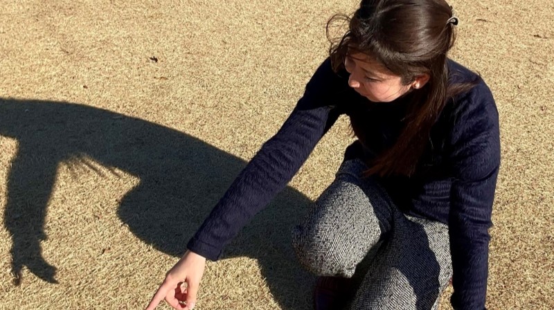 秋本 瑠理子 氏画像