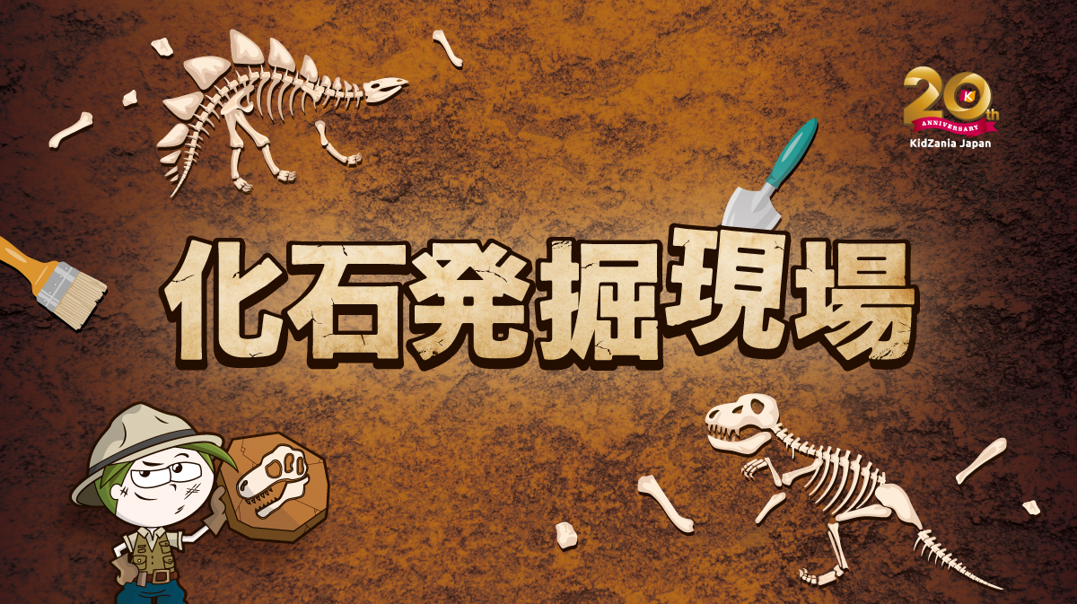 化石発掘現場